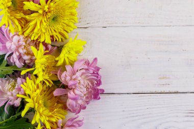 Beyaz ahşap arka planda güzel kasımpatılar. Üst görünüm, alanı kopyala