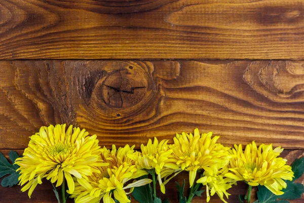 Crisantemos amarillos sobre fondo de madera. Vista superior, espacio de copia — Foto de Stock