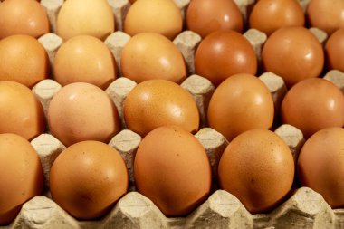 Karton yumurta kutusunda çiğ tavuk yumurtası yakın çekim