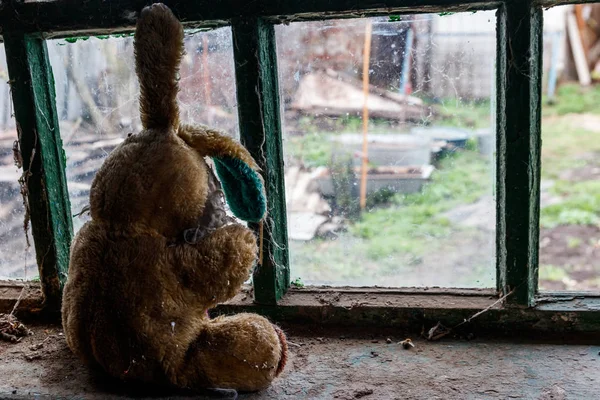 Altes dreckiges Stofftier-Kaninchen auf der Fensterbank in verlassenem Haus — Stockfoto