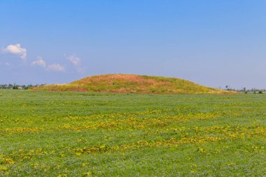 Ukrayna'nın güneyinde bir alanda Scythian mezar höyük