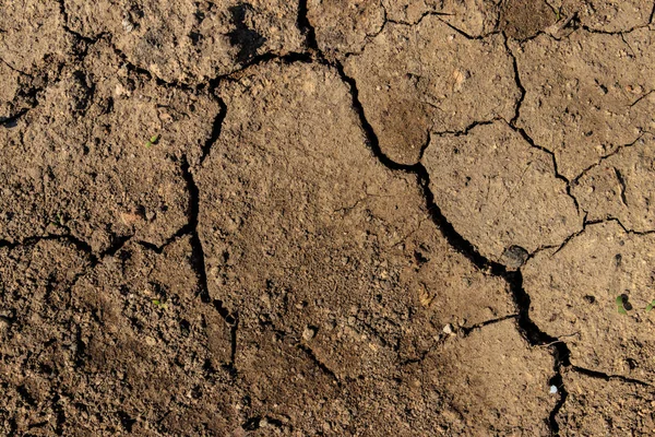 背景のための割れ乾燥した地面の質感 — ストック写真