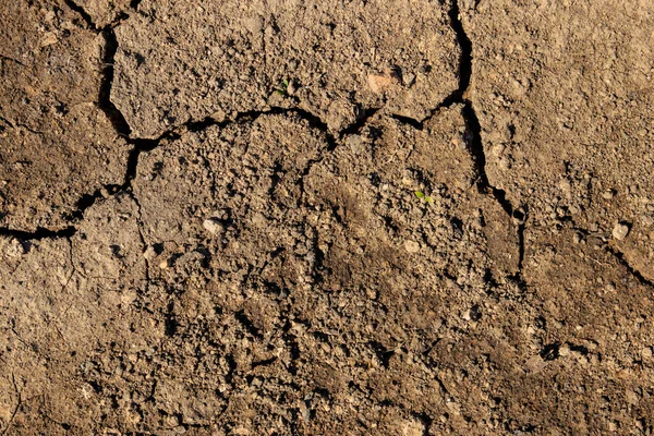 Textura de suelo seco agrietado para fondo —  Fotos de Stock