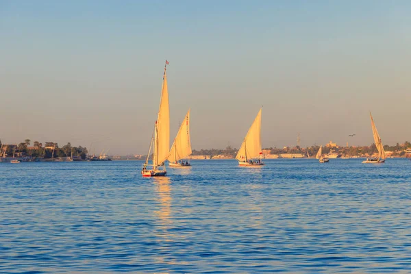 Лодки "Фелукка" плывут по реке Нил в Луксоре, Египет. Парусные лодки Египта — стоковое фото