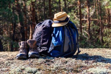 Turist sırt çantası, yürüyüş botları ve çam ormanında şapka. Yürüyüş konsepti