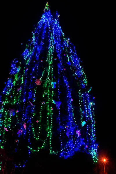 Geceleyin çok renkli ışıklarla süslenmiş Noel ağacı — Stok fotoğraf