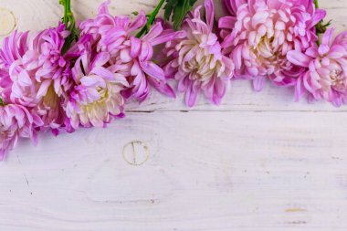 Beyaz ahşap arka planda güzel kasımpatılar. Üst görünüm, alanı kopyala