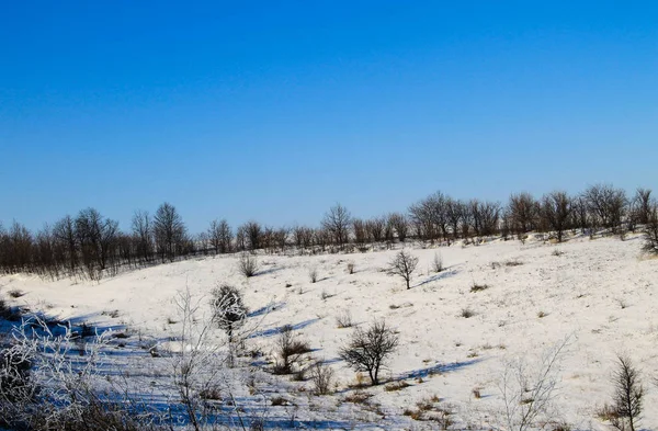 Paisaje invernal con árboles y colinas — Foto de Stock