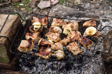 Izgarada domuz eti kızartılıyor. Kömürde et, barbekü yakın.