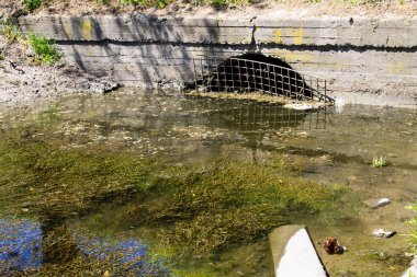 Kanalda su gideri var. Su yüzeyinde yeşil yosunlar. Çevre kirliliği
