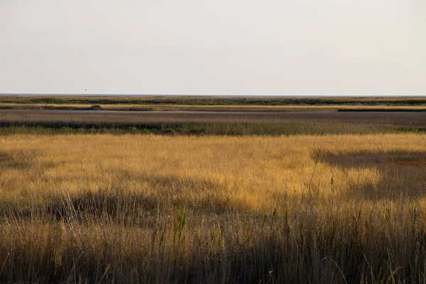 Vue sur le lac Sivash, Ukraine — Photo