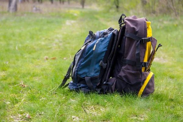 Dos mochilas turísticas en la hierba verde. Concepto de viaje y estilo de vida activo —  Fotos de Stock