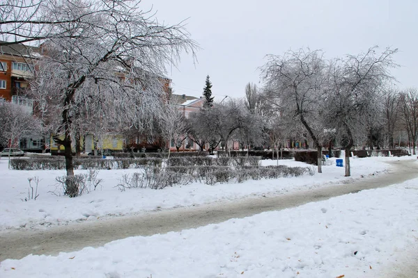 Winterlandschap in het stadspark — Stockfoto