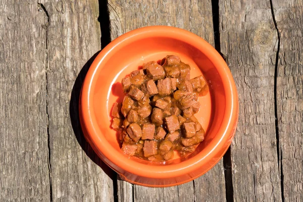 Ingeblikt voedsel voor katten of honden in een oranje plastic kom — Stockfoto