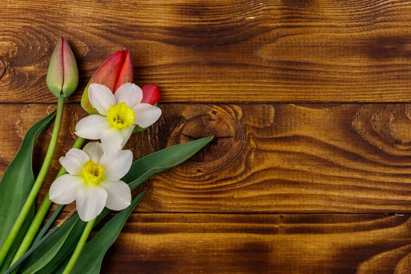 Ramo de narcisos y tulipanes rojos sobre fondo de madera. Tarjeta de felicitación para Semana Santa, San Valentín, Día de la Mujer y Día de la Madre. Vista superior, espacio de copia — Foto de Stock