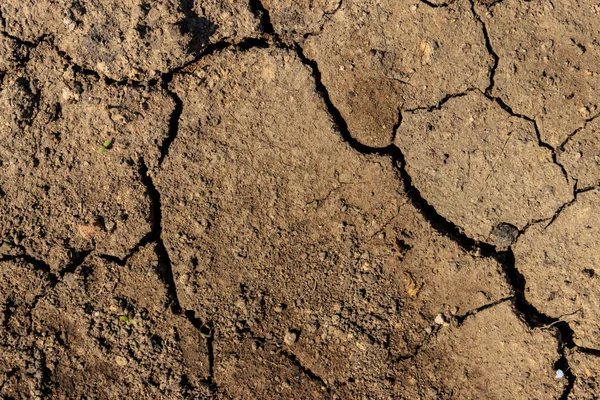 Textura de suelo seco agrietado para fondo —  Fotos de Stock