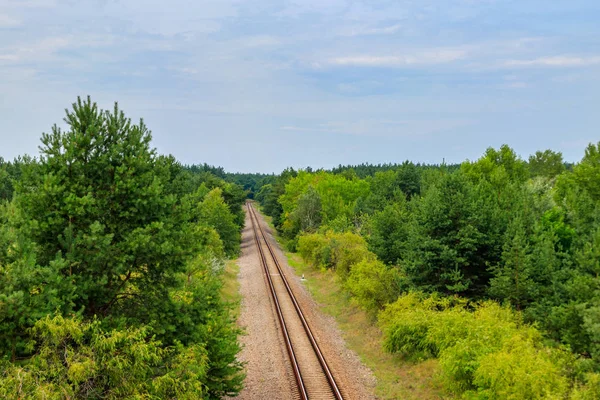 Вид с воздуха на железнодорожные пути через зеленый сосновый лес — стоковое фото