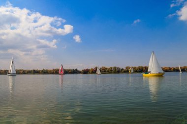 Kremenchug, Ukrayna 'daki Dinyeper Nehri' ndeki yelkenli yarışlarında yatlar