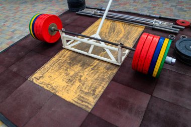 Halter salonunda katta