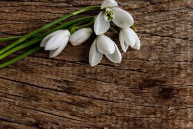 Kırsal ahşap arka planda beyaz kardelen buketi