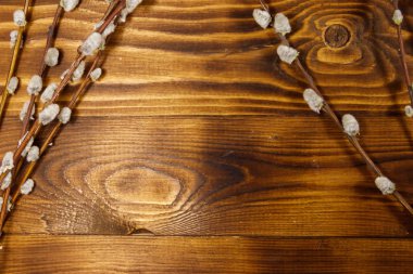 Kukum twigs ahşap arka plan üzerinde. Üstten görünüm, kopya alanı