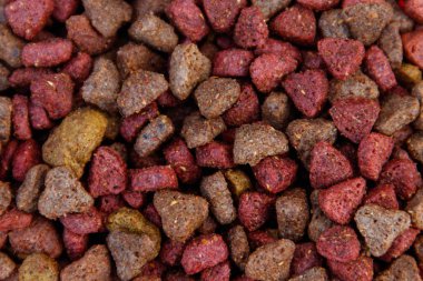 Kedi ya da köpek için yakın plan kuru yiyecek. Evcil hayvan besin geçmişi