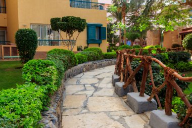 Bahçede yeşil ağaçlar ve çalılar olan patika ve manzara tasarımı