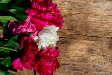 Güzel şakayık çiçekleri rustik ahşap zemin üzerinde. Üstten görünüm, kopya alanı