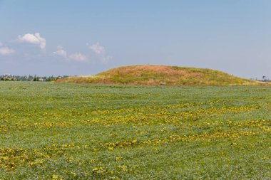 Ukrayna'nın güneyinde bir alanda Scythian mezar höyük