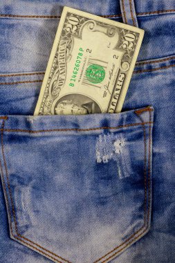 Mavi kot cebinde yirmi dolar fatura