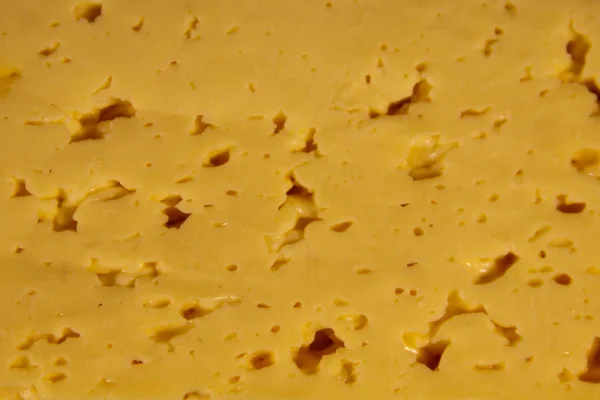 Texture of the cheese for background — Stock Photo, Image