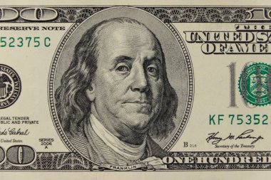 100 dolarlık makro çekim.