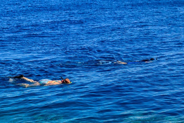 Skupina lidí šnorchluje nad korálovým útesem v Rudém moři — Stock fotografie