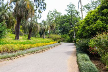 Gürcistan, Batum botanik bahçesinin güzel manzarası