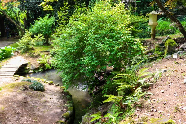 Jardin japonais avec lac dans le jardin botanique de Batoumi, Géorgie — Photo