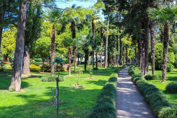 Footpath through green park in Batumi, Georgia — Stock Photo, Image