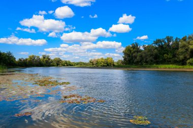 Güzel bir nehir, yeşil ağaçlar ve mavi gökyüzü olan yaz manzarası
