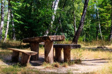 Huş bahçesinde piknik alanı. Huş ormanında ahşap masa ve banklar