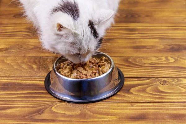 Милий кіт їсть свою їжу з металевої миски на дерев'яній підлозі — стокове фото