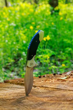 Yeşil ormanda tahta bir kütüğe saplanmış katlanır bıçak.