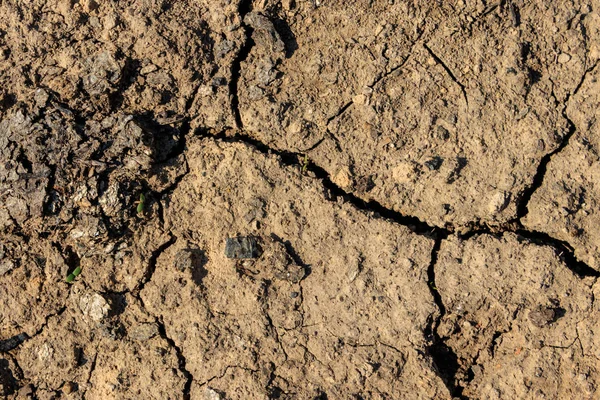 Textura popraskané suché půdy pro pozadí — Stock fotografie