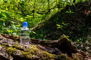 Yeşil orman arka planında taze içme suyu olan plastik şişe.