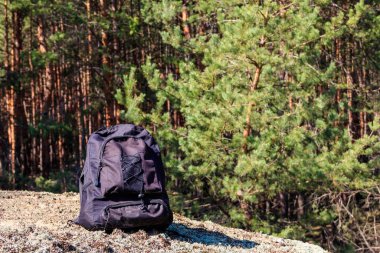 Tourist backpack on the glade in pine forest