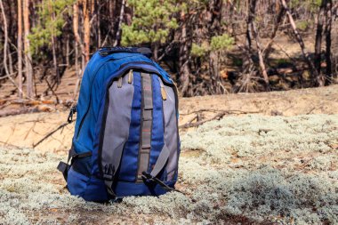 Tourist backpack on the glade in pine forest