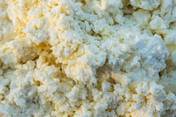 Background of the fresh homemade cottage cheese 