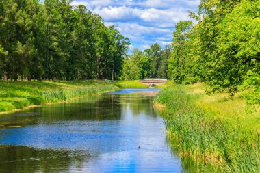 Puşkin (Tsarskoye Selo), Rusya 'da Catherine parkında küçük bir nehirde taş kemer köprüsü