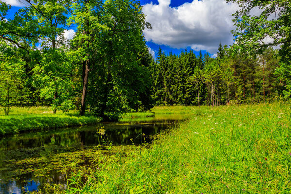 Small river in a mixed deciduous and coniferous forest in Russia