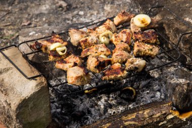 Domuz eti ızgarada kavurma. Kömürlerin, Barbekü clo üzerinde et