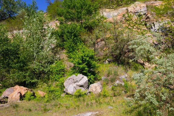 Летний пейзаж со скалами и деревьями — стоковое фото