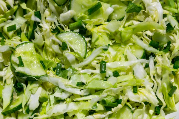 Весенний веганский салат с капустой, огурцом, зеленым луком и парселями — стоковое фото